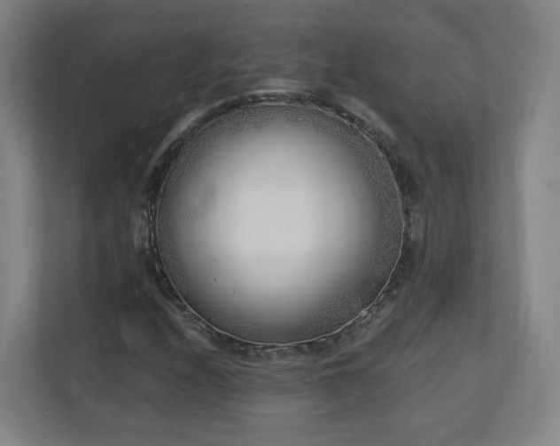 X0000110941208200906191224