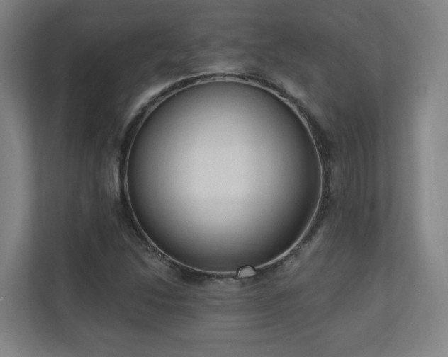 X0000110941214200906191224