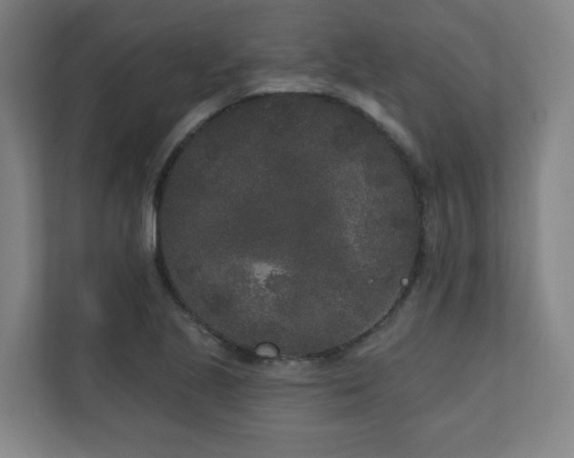 X0000110941221200906191224