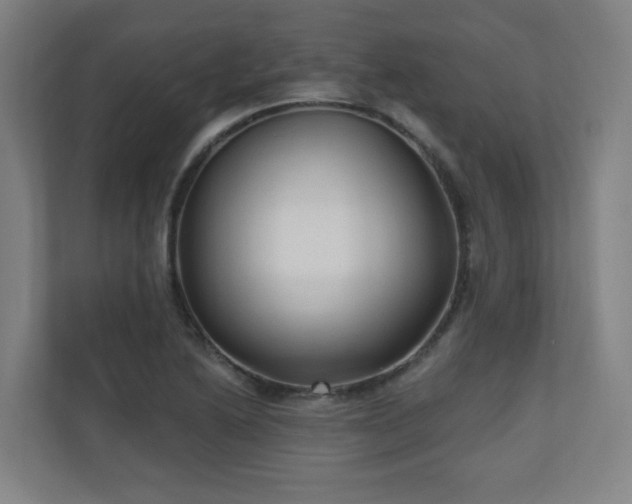 X0000110941222200906191224