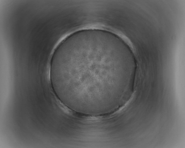 X0000110941224200906191224