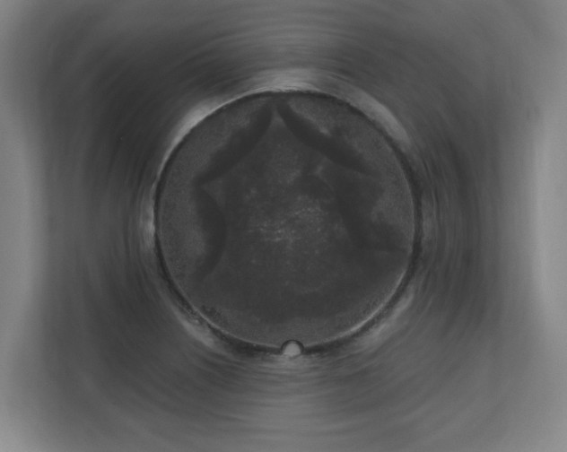 X0000110941226200906191224