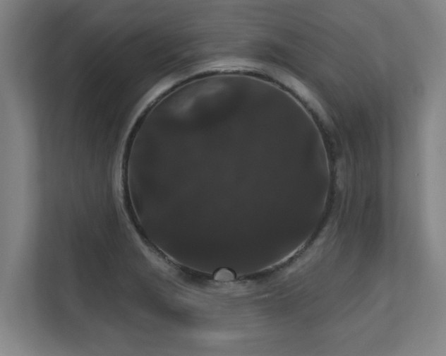 X0000110941229200906191224