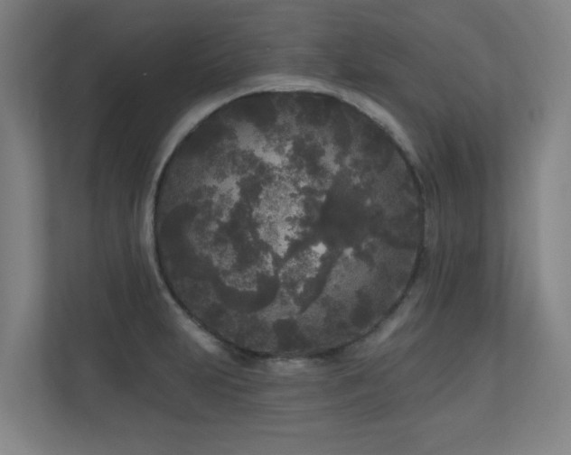 X0000110941231200906191224