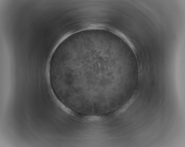 X0000110941235200906191224