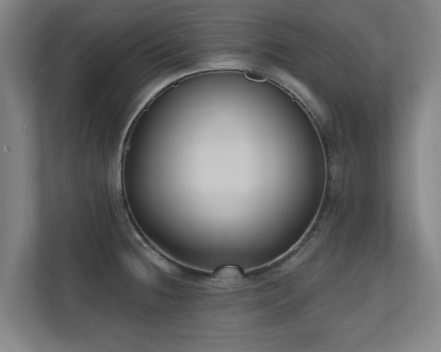 X0000110941236200906191224