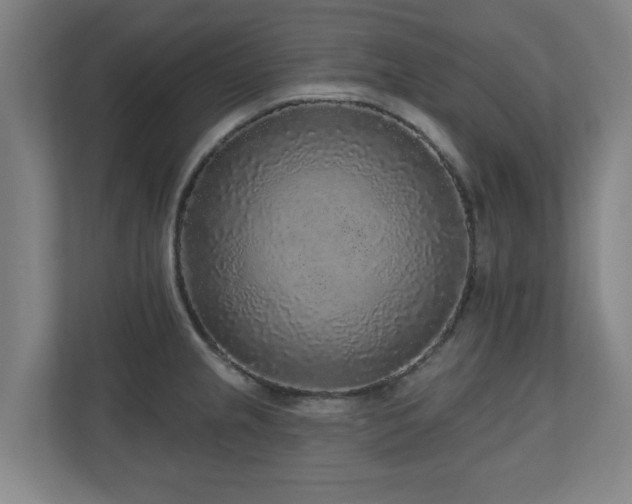 X0000110941237200906191224