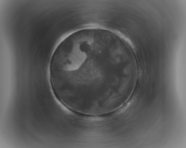 X0000110941239200906191224