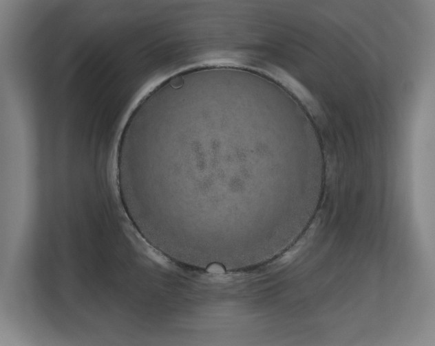 X0000110941240200906191224