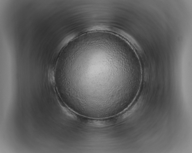 X0000110941241200906191224