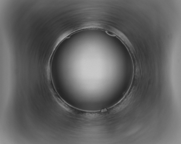 X0000110941242200906191224