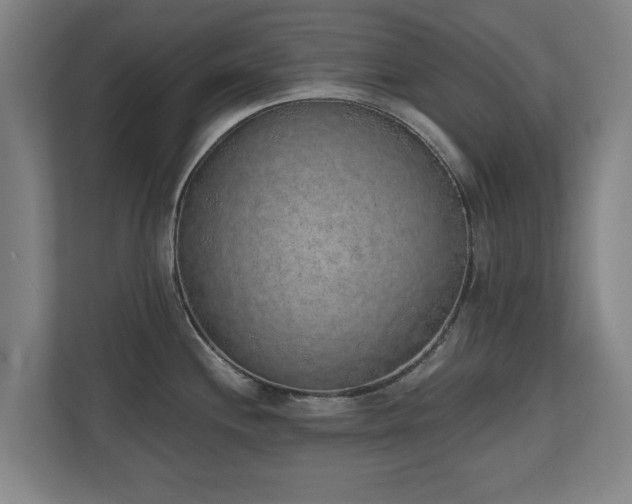 X0000110941244200906191224