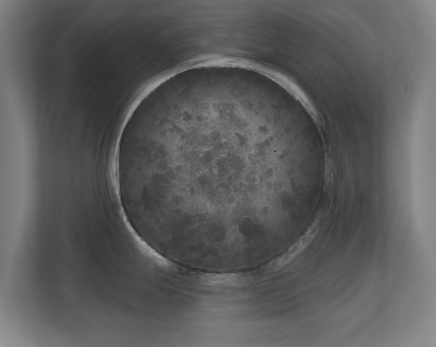 X0000110941247200906191224