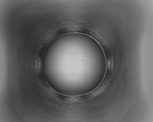 X0000110941251200906191224