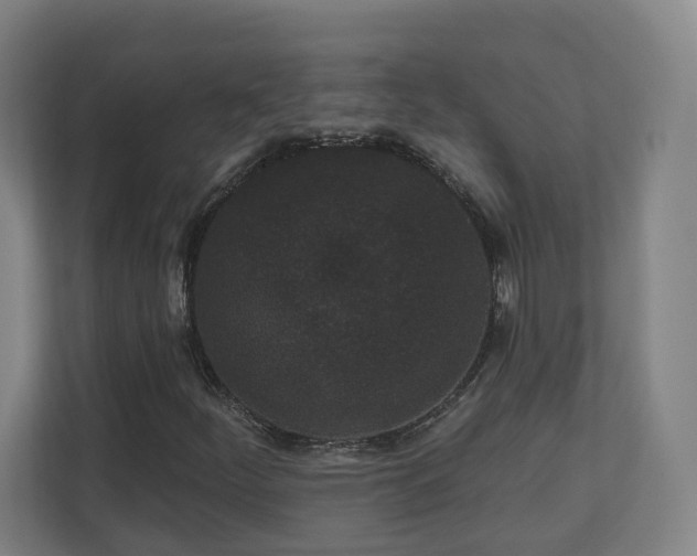 X0000110941252200906191223