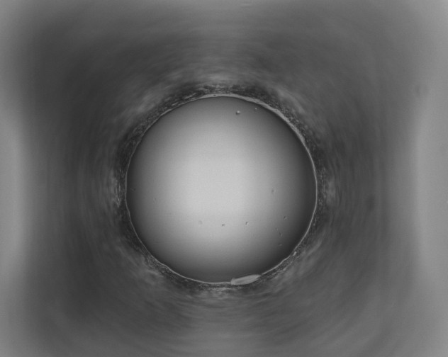 X0000110941253200906191223