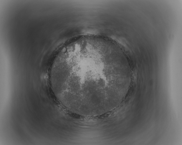 X0000110941254200906191223