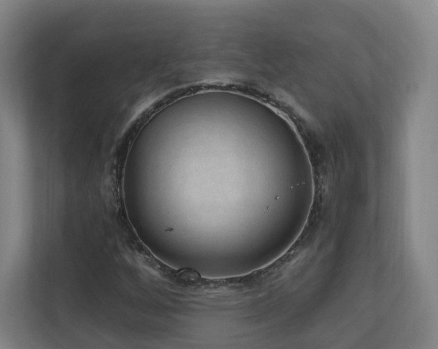 X0000110941256200906191223