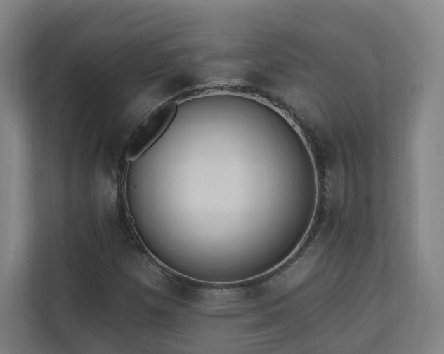 X0000110941257200906191223