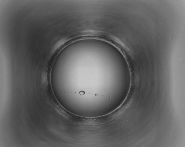 X0000110941259200906191223