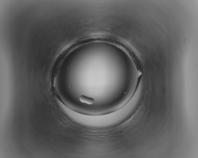 X0000110941261200906191223