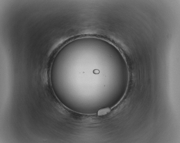 X0000110941262200906191223
