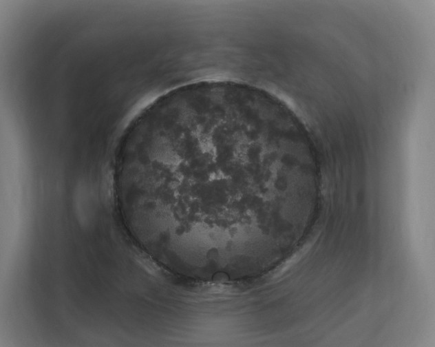 X0000110941263200906191223