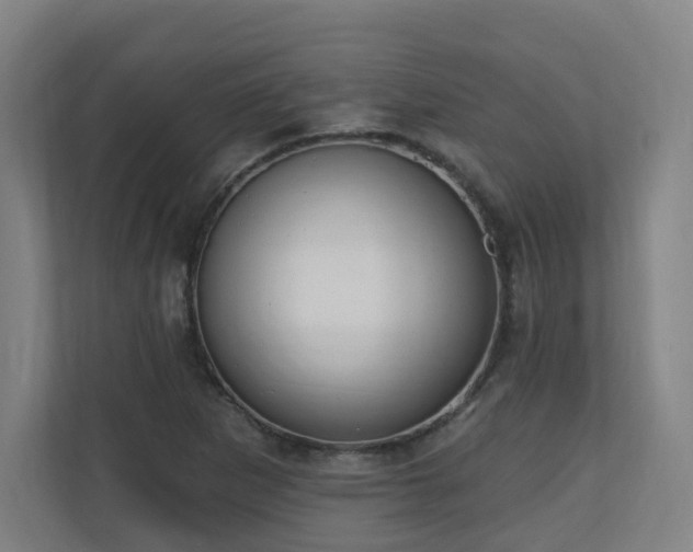 X0000110941265200906191223