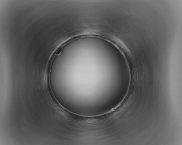 X0000110941268200906191223