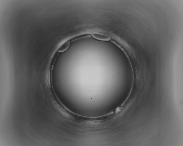 X0000110941272200906191223