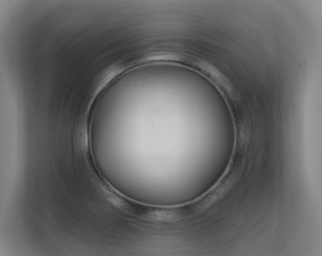 X0000110941274200906191223