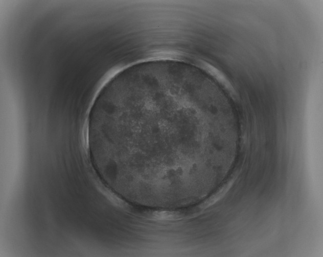 X0000110941275200906191223