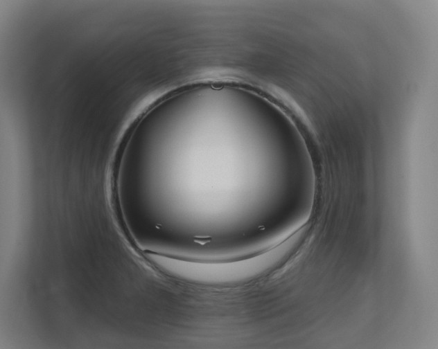 X0000110941277200906191223