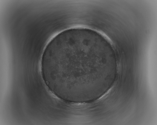 X0000110941279200906191223