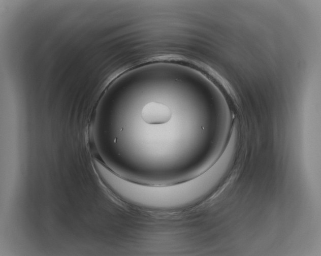 X0000110941281200906191223