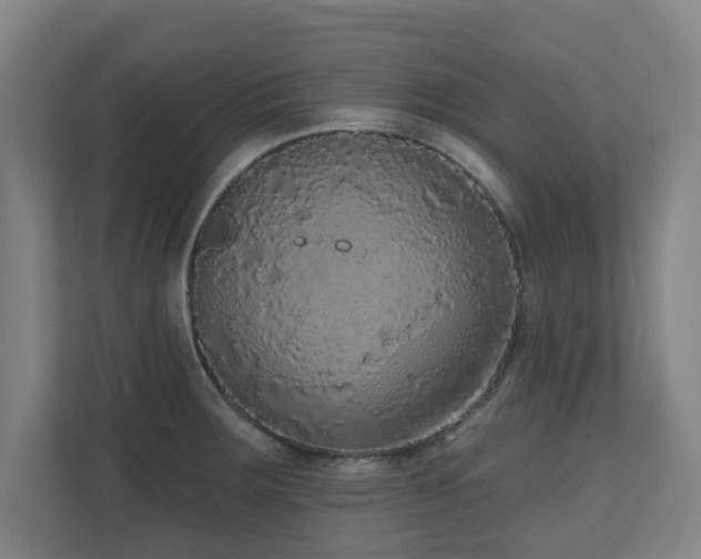 X0000110941283200906191223
