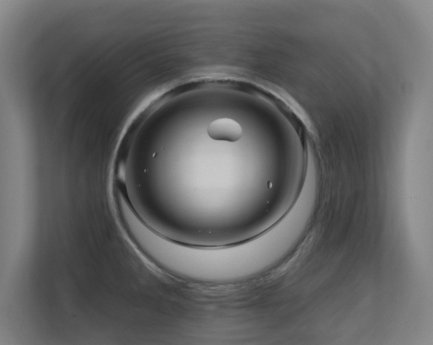 X0000110941285200906191223