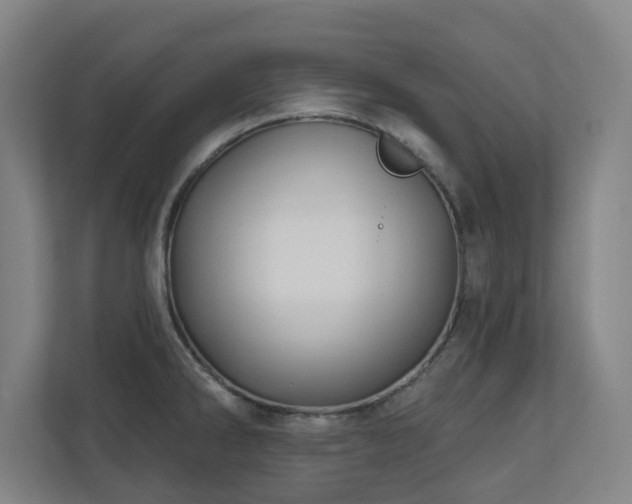 X0000110941286200906191223