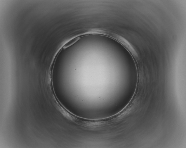 X0000110941292200906191223