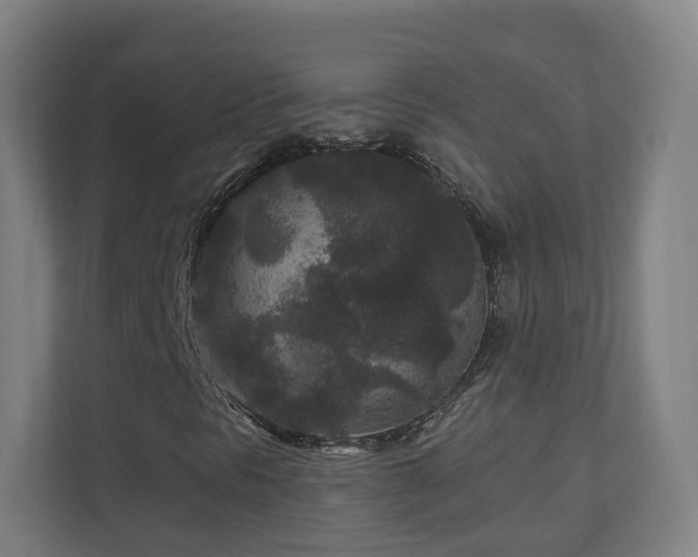 X0000110941297200906191222