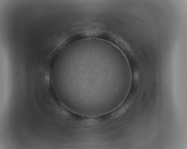 X0000110941300200906191222