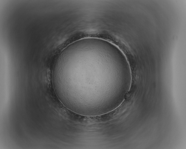 X0000110941301200906191222