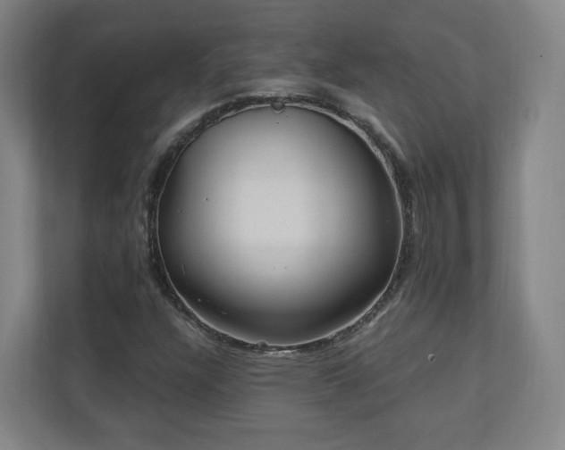 X0000110941304200906191222