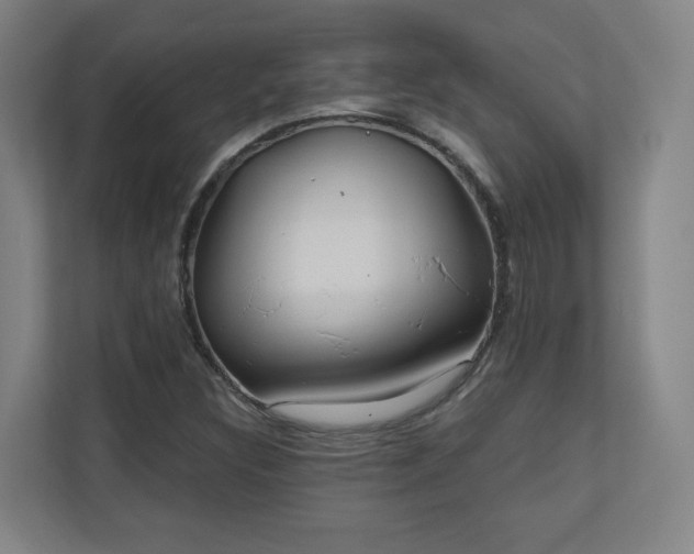 X0000110941308200906191222