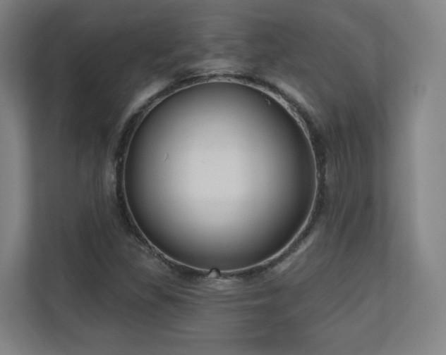 X0000110941309200906191222