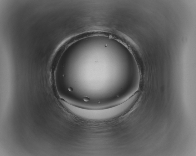 X0000110941310200906191222