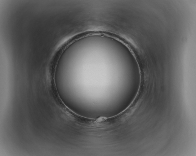 X0000110941311200906191222