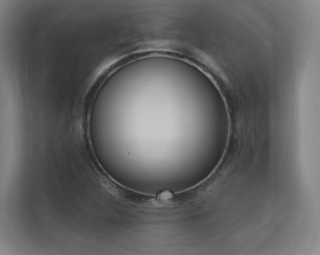 X0000110941312200906191222