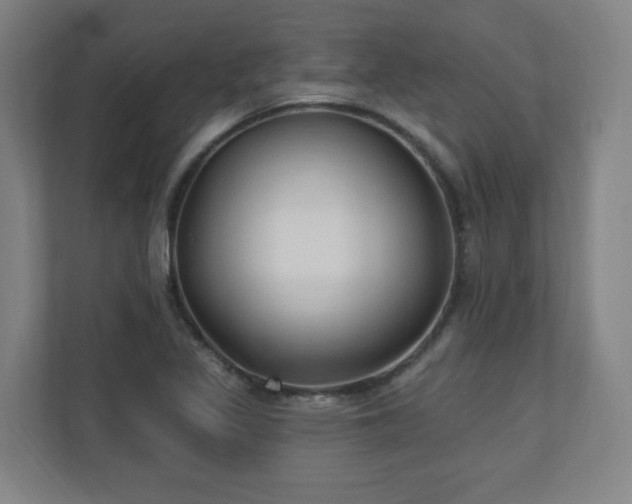 X0000110941317200906191223