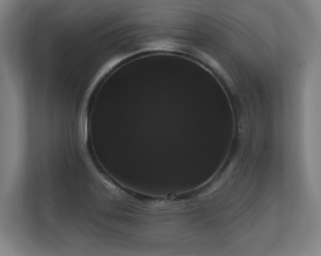 X0000110941323200906191223